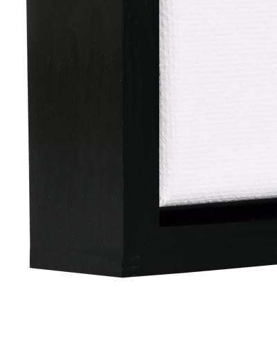 Canvas Float Black Frame 16x20 – Paintru